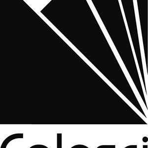 Logo grafiche calosci di calosci giuseppe & c. snc